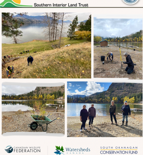 Love Your Lakes 2021 Shoreline Restoration (med)