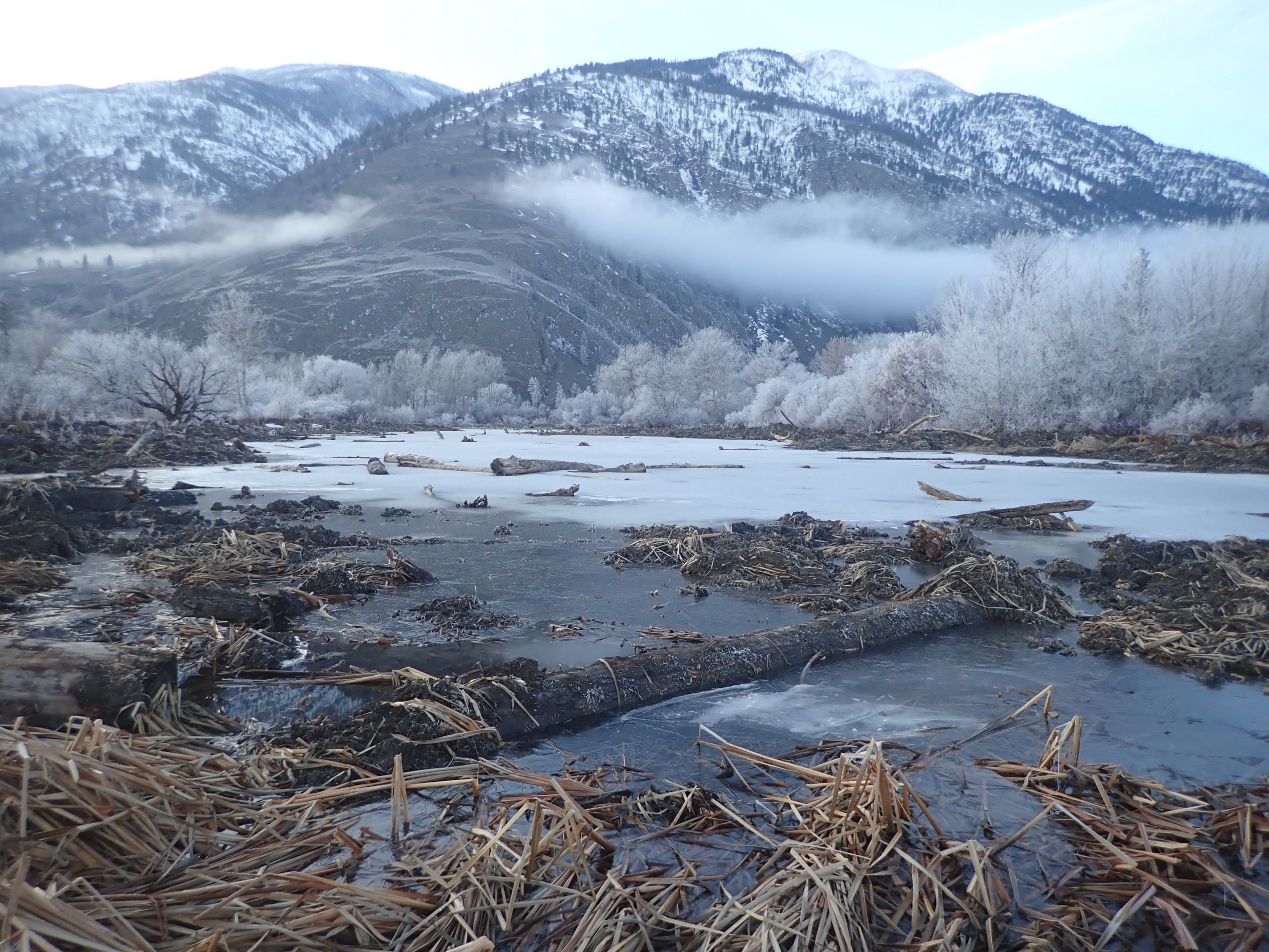Waiting for Spring at Ginty’s Pond / Nʔaʕx̌ʷt