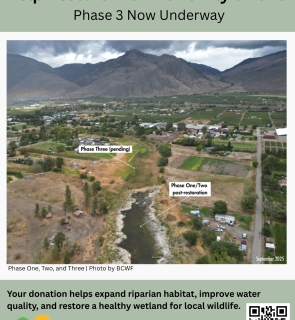 Ginty's Pond Restoration Phase 3 overview
