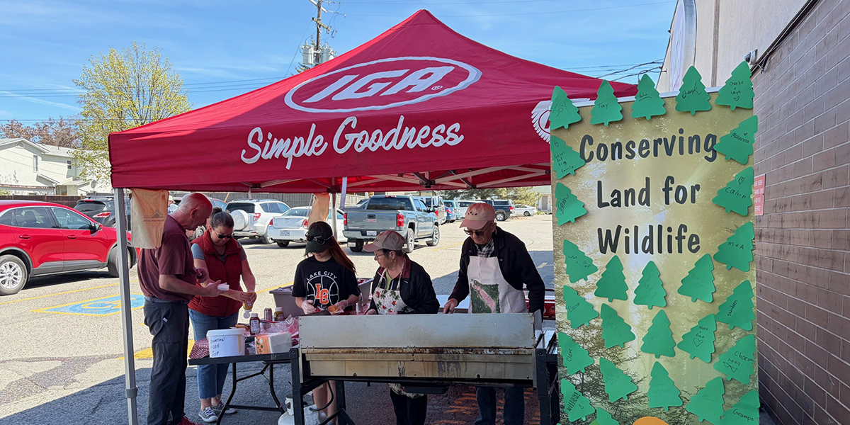 Hot Dogs Support SILT