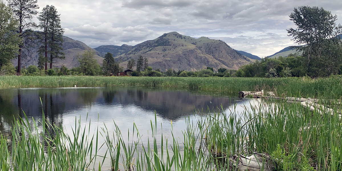 Ginty’s Pond Wetland Restoration