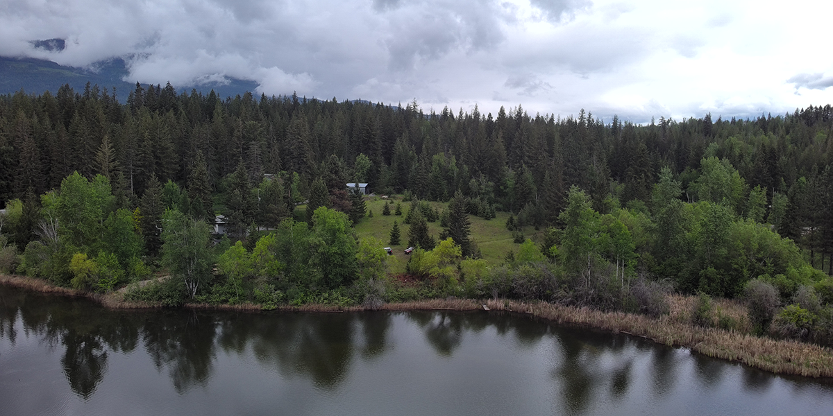Murray-Carson Conservation Property